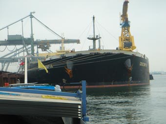 Kolen geladen uit zeeboot