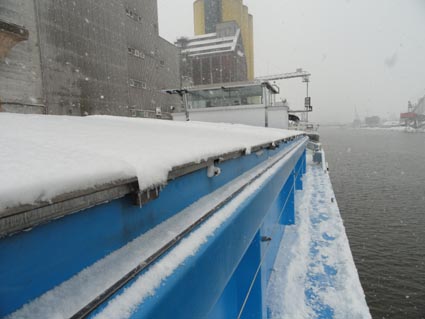 Hamm in de sneeuw